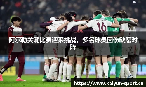 开云体育平台